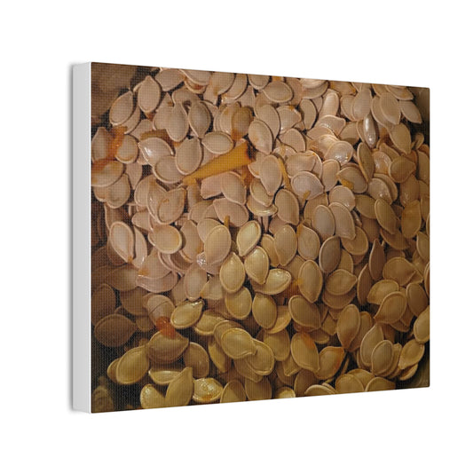 Pumpkin Seeds - Canvas Stretched, 0.75"