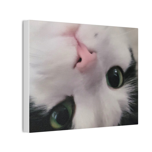 Adorable Cat Canvas Print – Perfect for Pet Lovers