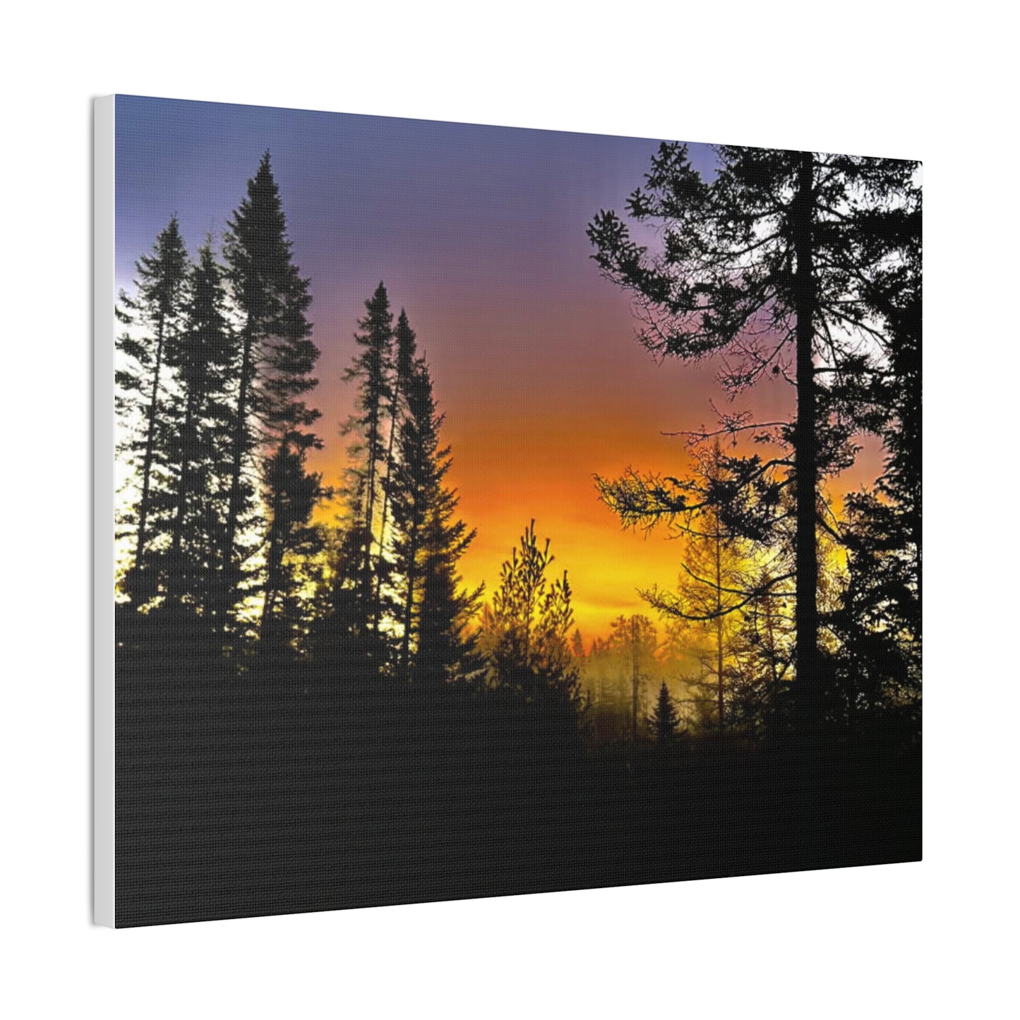 Sunset Forest Canvas Art - Stretched Wall Decor for Nature Lovers