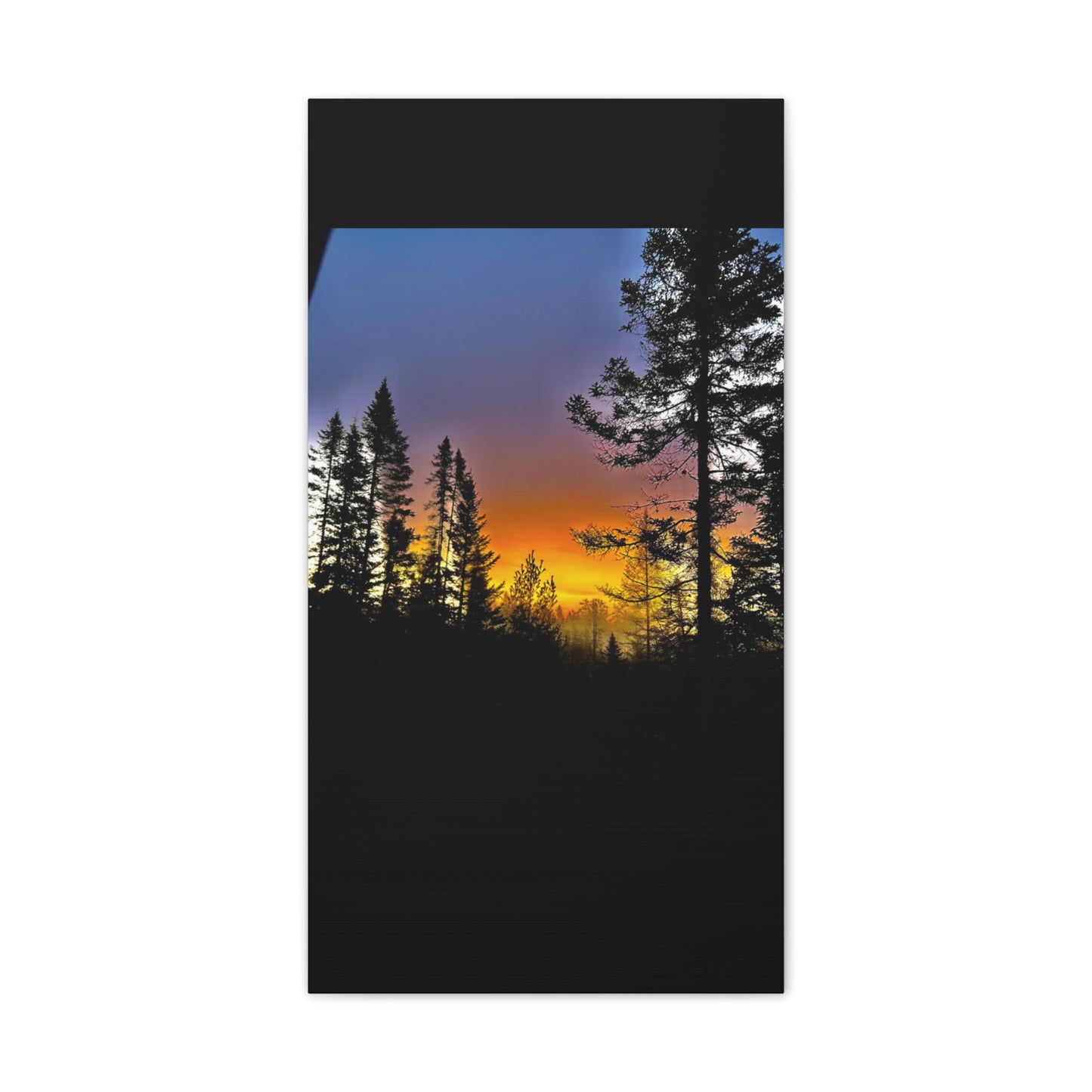 Sunset Forest Canvas Art - Stretched Wall Decor for Nature Lovers