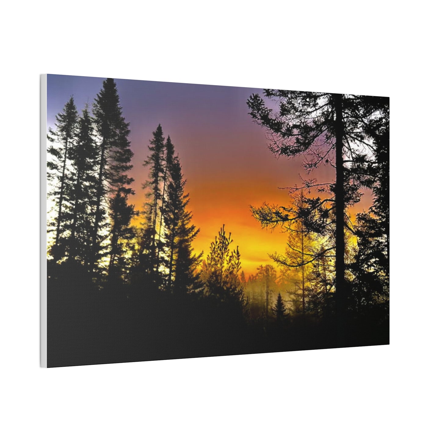 Sunset Forest Canvas Art - Stretched Wall Decor for Nature Lovers