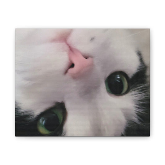 Adorable Cat Canvas Print – Perfect for Pet Lovers