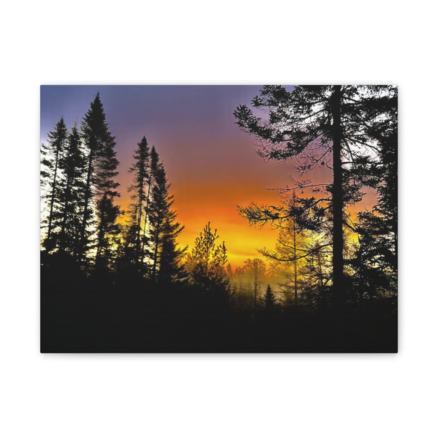 Sunset Forest Canvas Art - Stretched Wall Decor for Nature Lovers