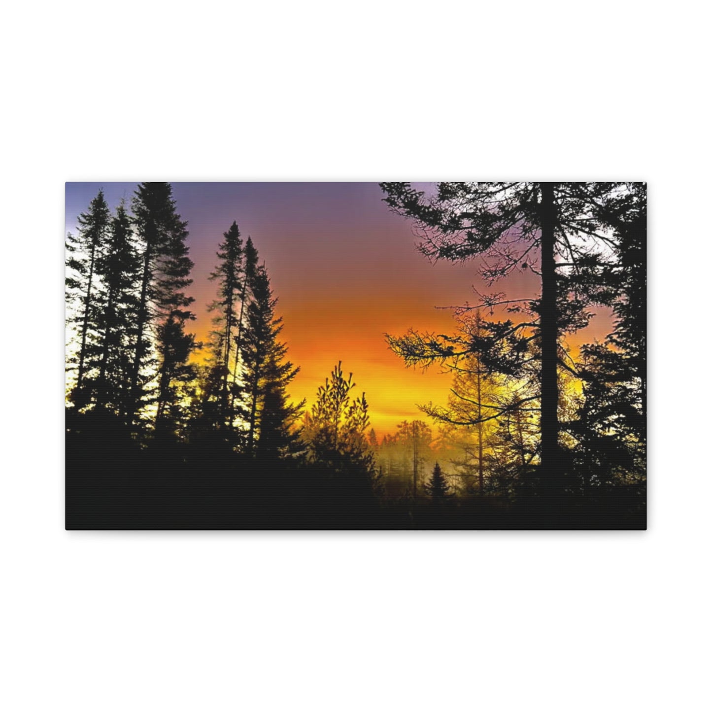 Sunset Forest Canvas Art - Stretched Wall Decor for Nature Lovers