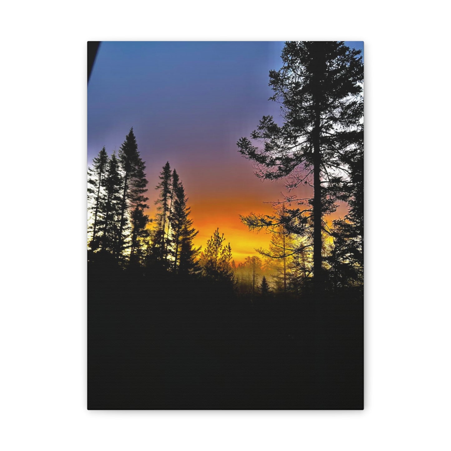 Sunset Forest Canvas Art - Stretched Wall Decor for Nature Lovers