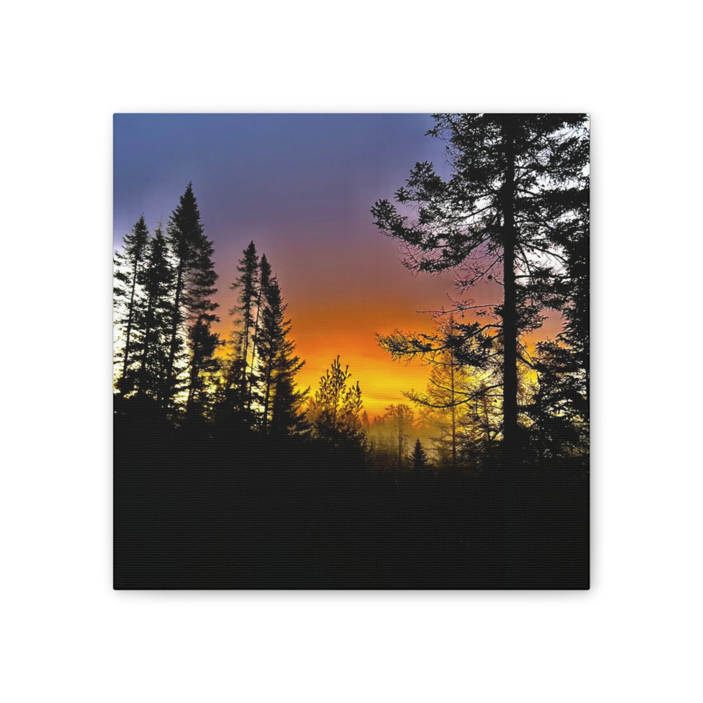 Sunset Forest Canvas Art - Stretched Wall Decor for Nature Lovers