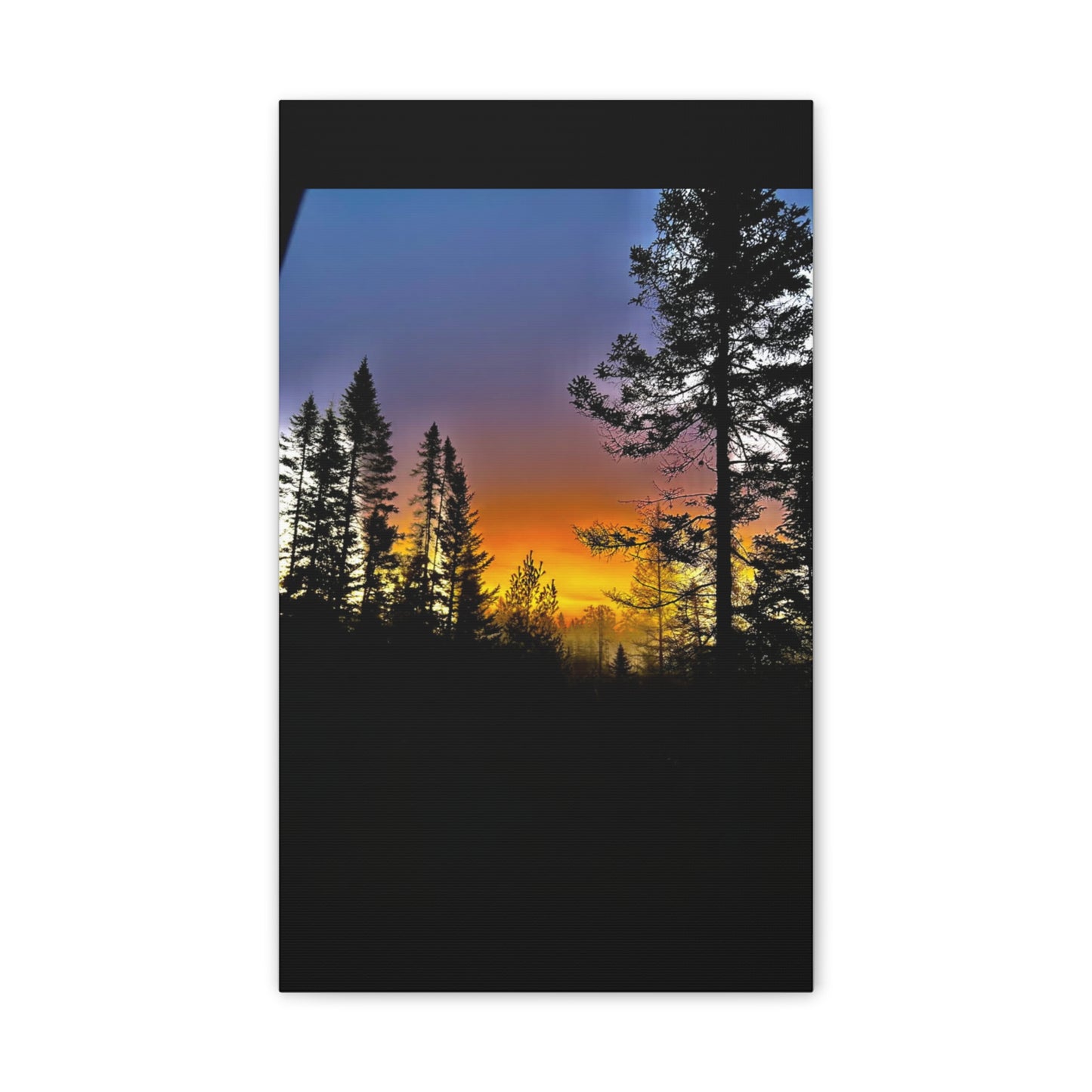 Sunset Forest Canvas Art - Stretched Wall Decor for Nature Lovers