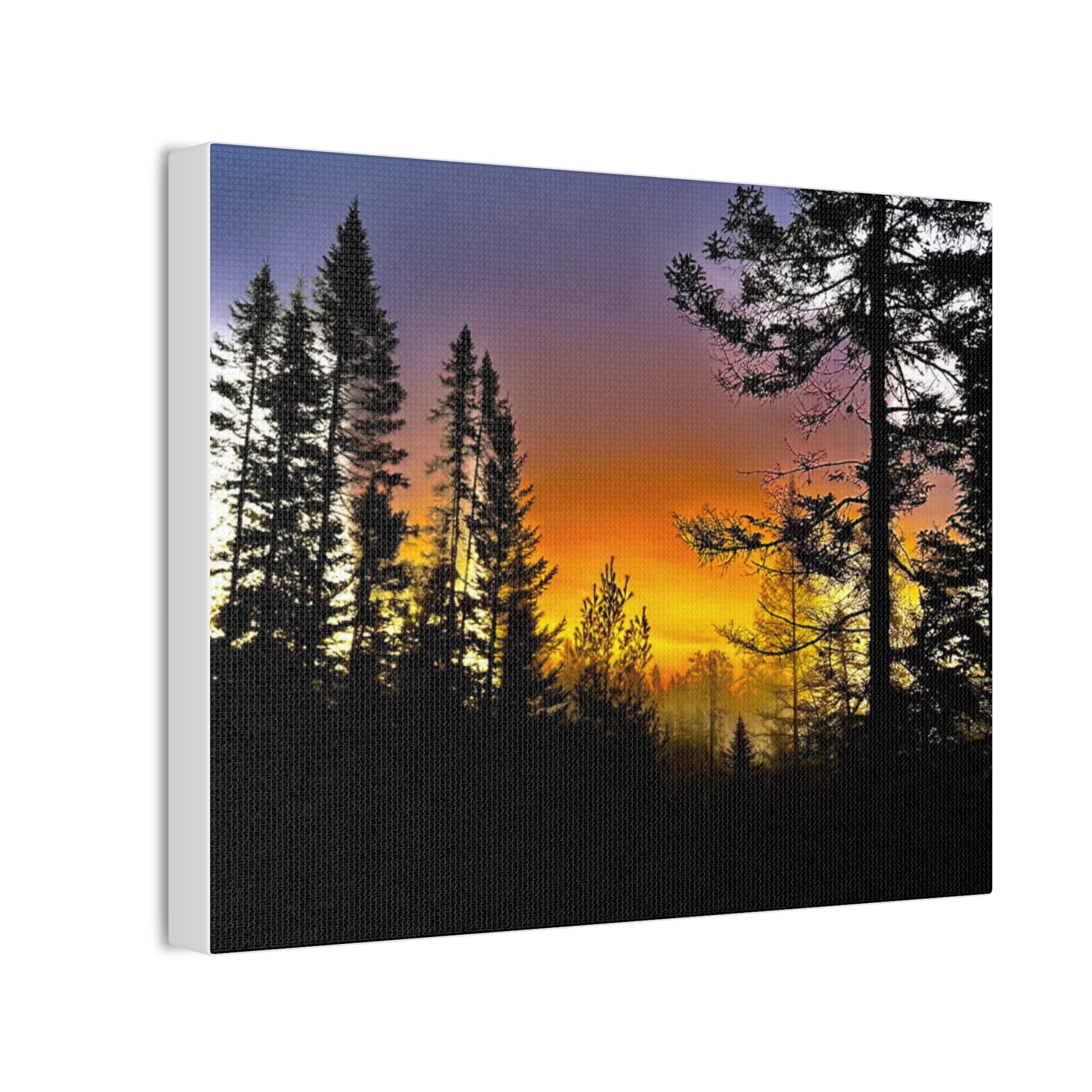 Sunset Forest Canvas Art - Stretched Wall Decor for Nature Lovers