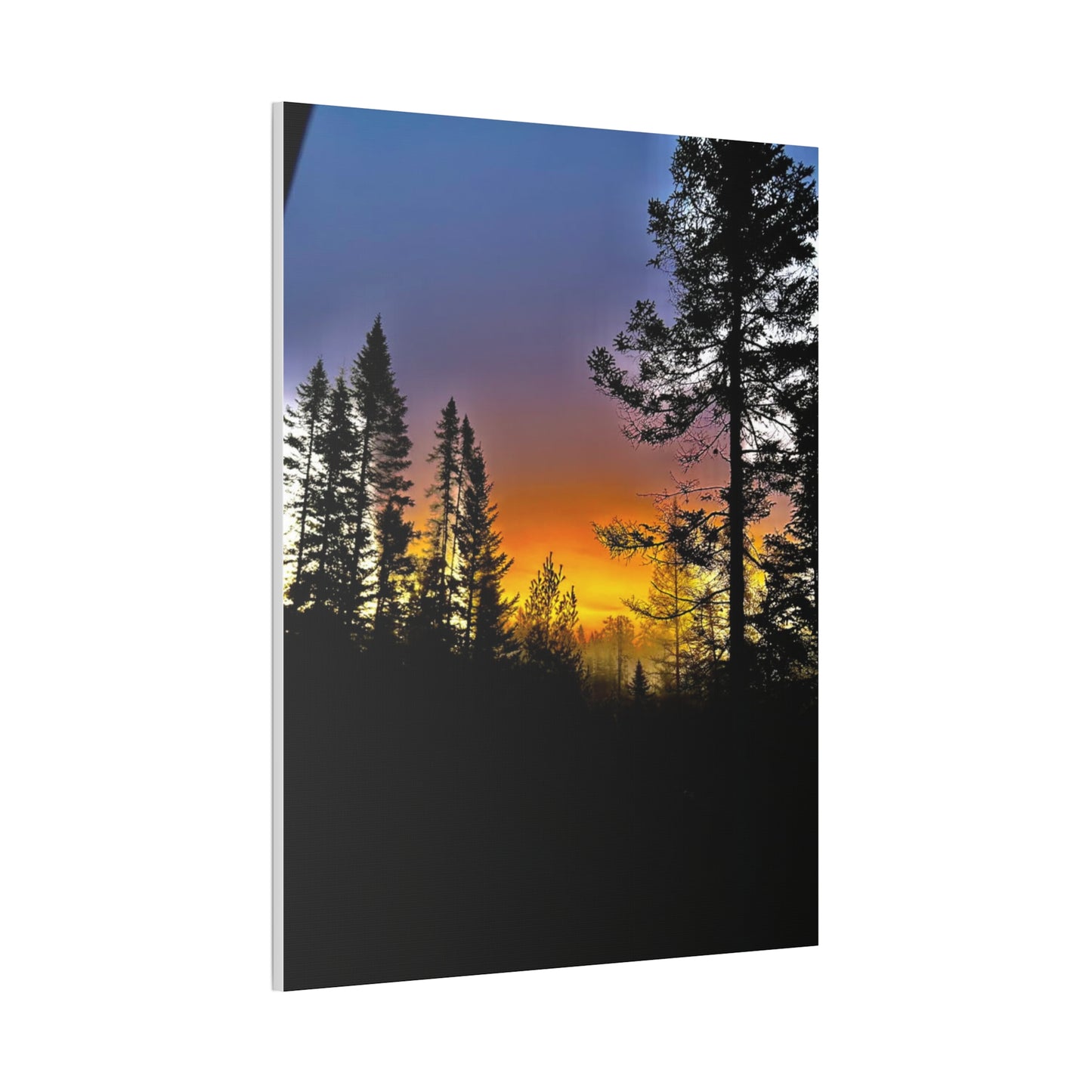 Sunset Forest Canvas Art - Stretched Wall Decor for Nature Lovers