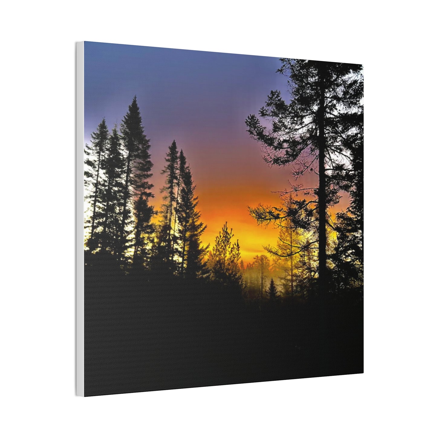 Sunset Forest Canvas Art - Stretched Wall Decor for Nature Lovers