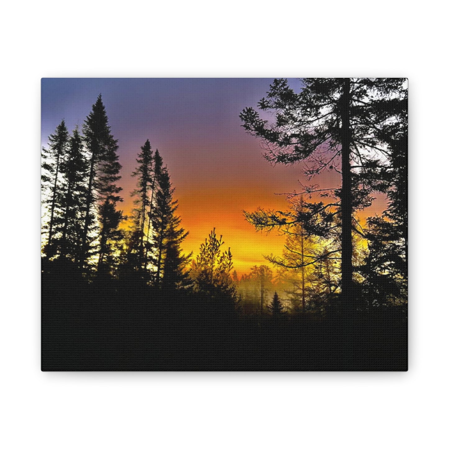 Sunset Forest Canvas Art - Stretched Wall Decor for Nature Lovers