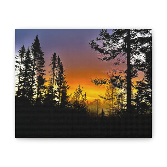 Sunset Forest Canvas Art - Stretched Wall Decor for Nature Lovers
