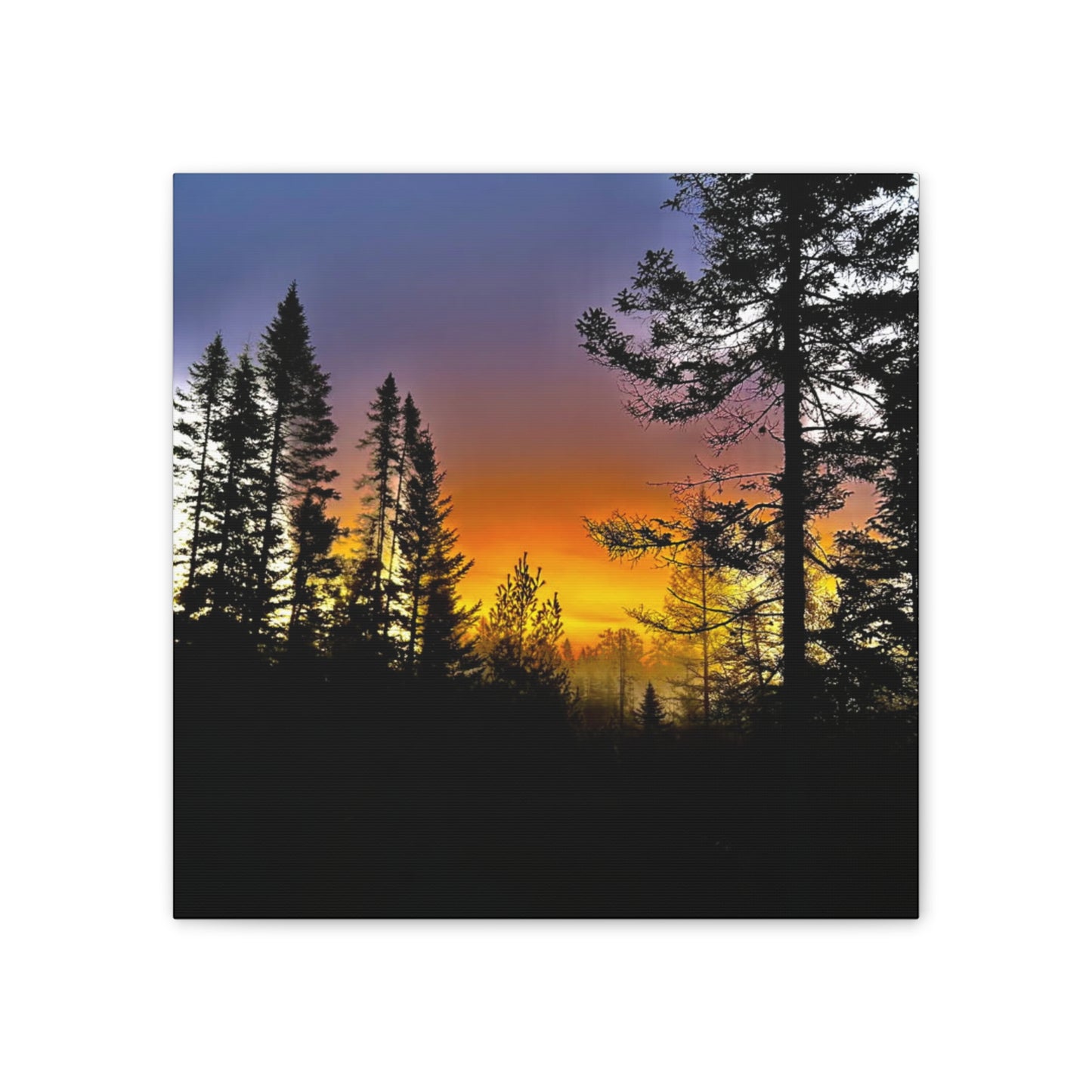Sunset Forest Canvas Art - Stretched Wall Decor for Nature Lovers