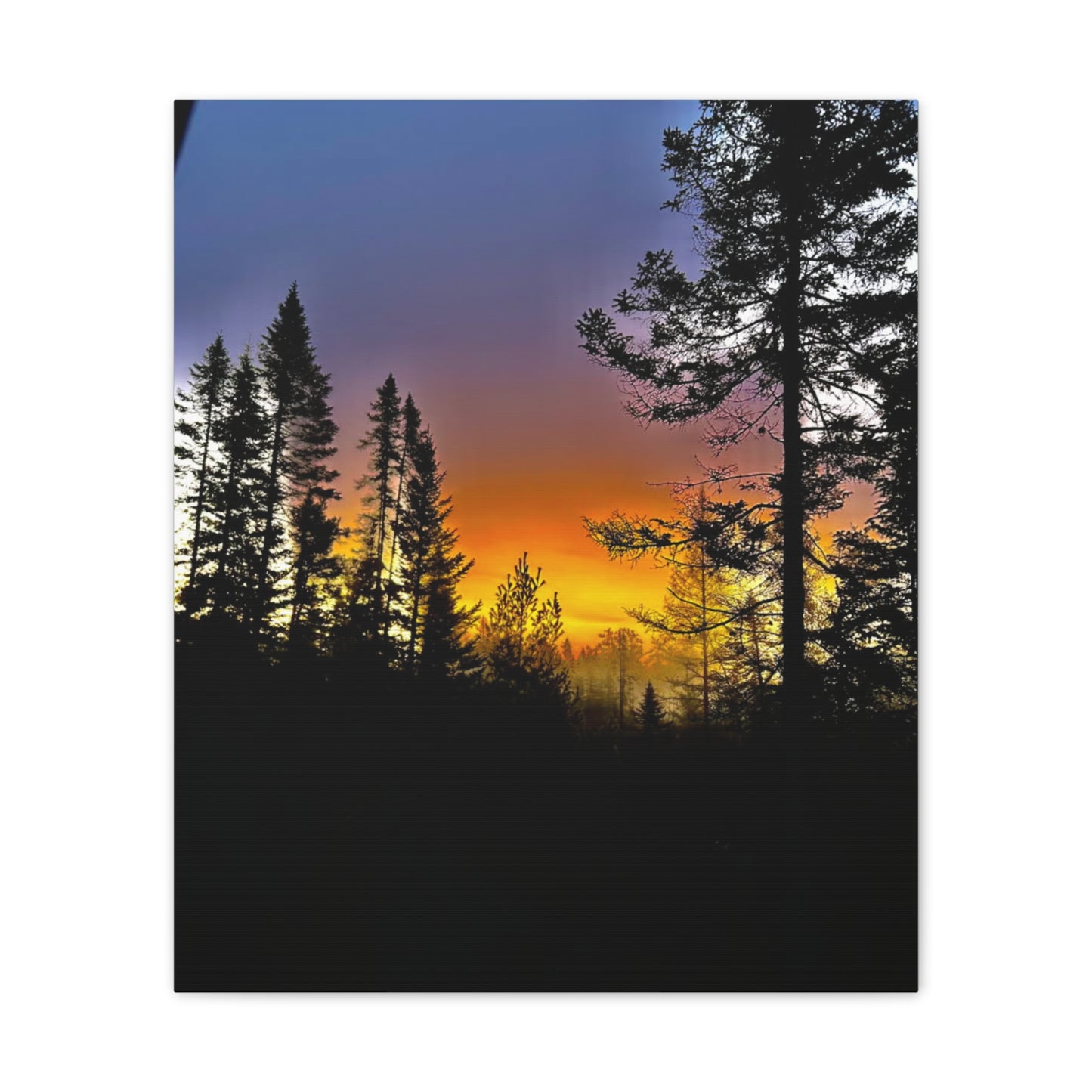 Sunset Forest Canvas Art - Stretched Wall Decor for Nature Lovers