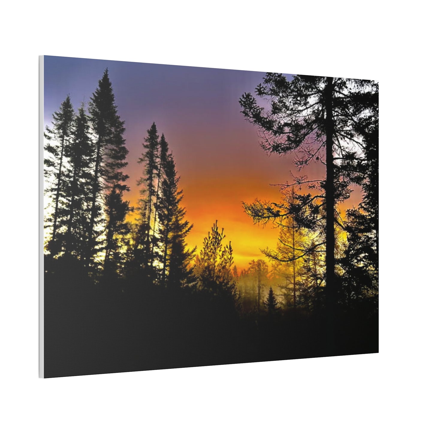 Sunset Forest Canvas Art - Stretched Wall Decor for Nature Lovers