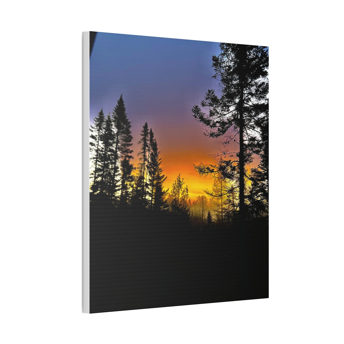 Sunset Forest Canvas Art - Stretched Wall Decor for Nature Lovers