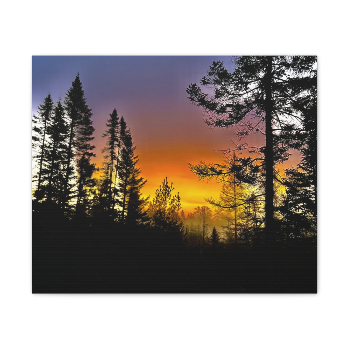 Sunset Forest Canvas Art - Stretched Wall Decor for Nature Lovers