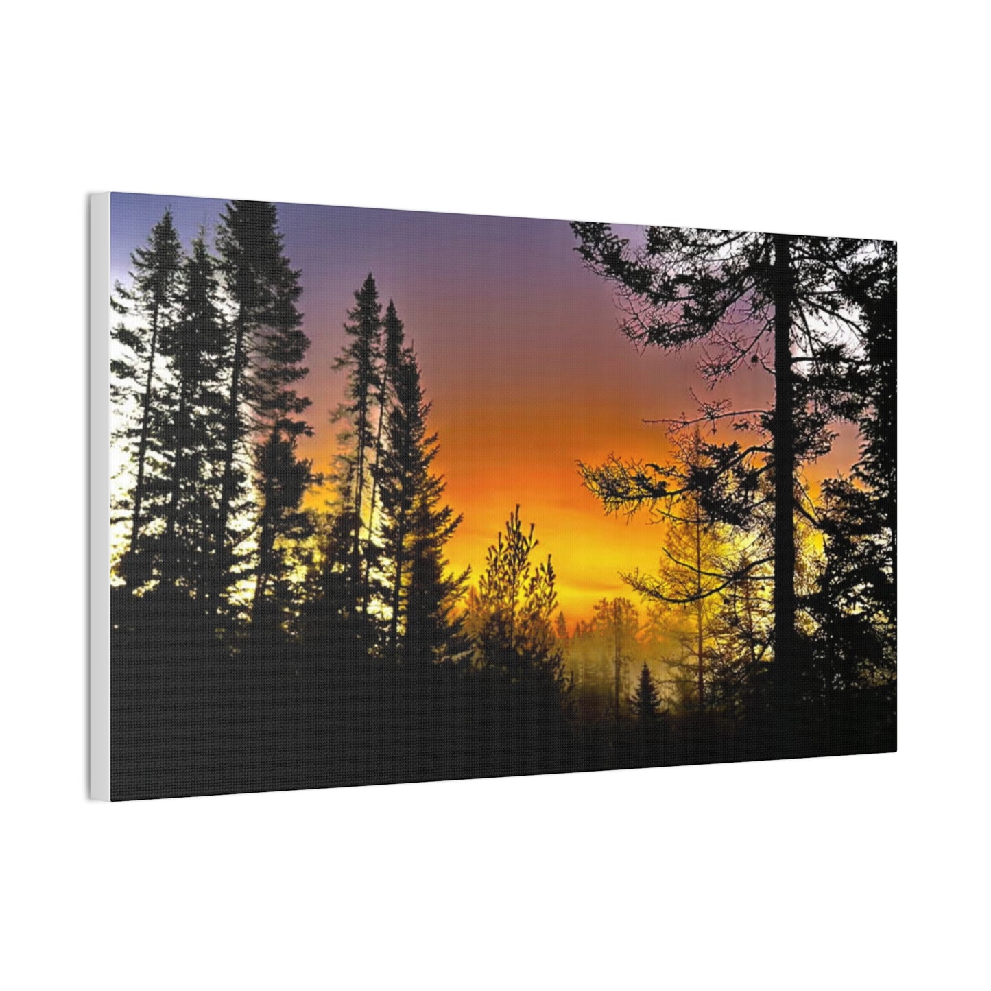 Sunset Forest Canvas Art - Stretched Wall Decor for Nature Lovers