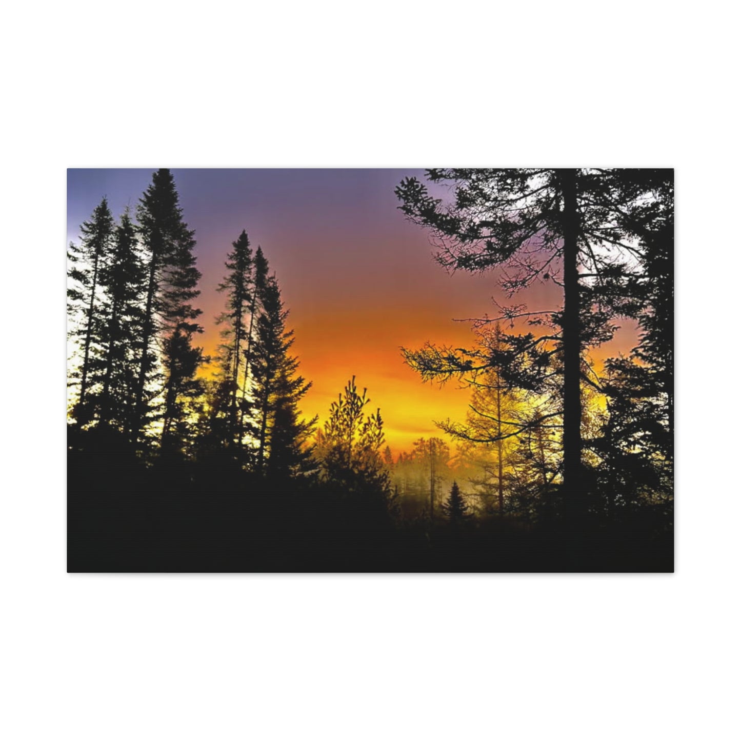 Sunset Forest Canvas Art - Stretched Wall Decor for Nature Lovers