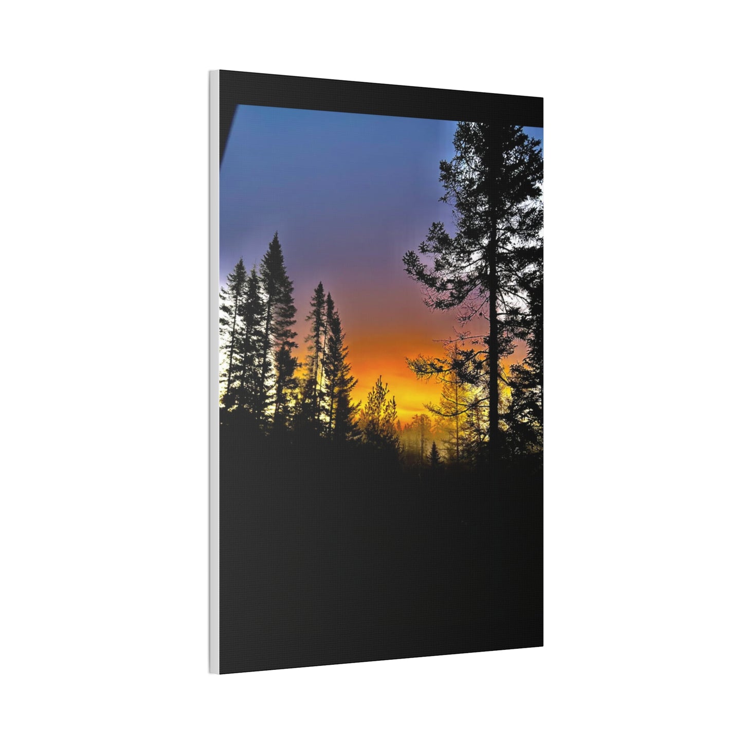 Sunset Forest Canvas Art - Stretched Wall Decor for Nature Lovers