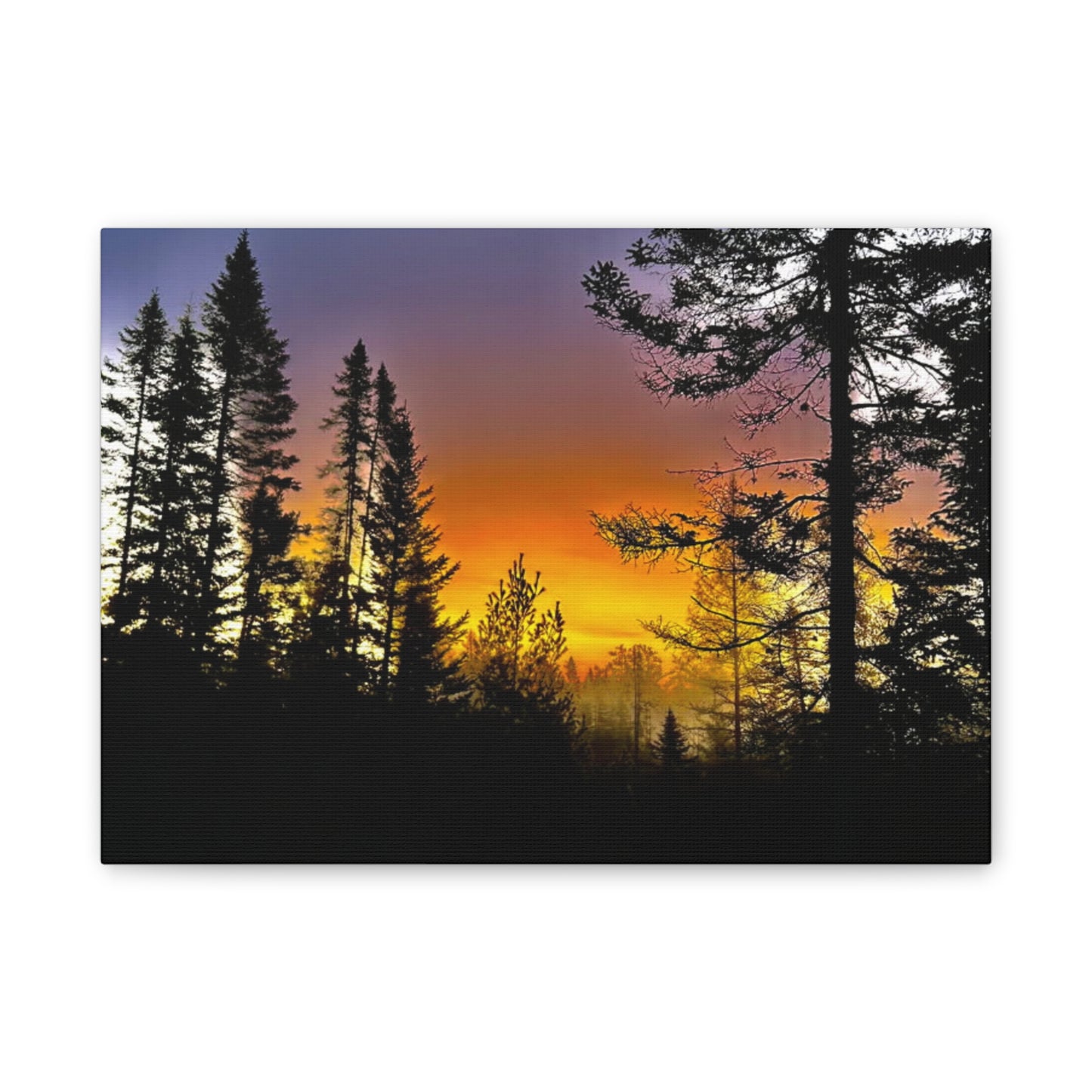 Sunset Forest Canvas Art - Stretched Wall Decor for Nature Lovers