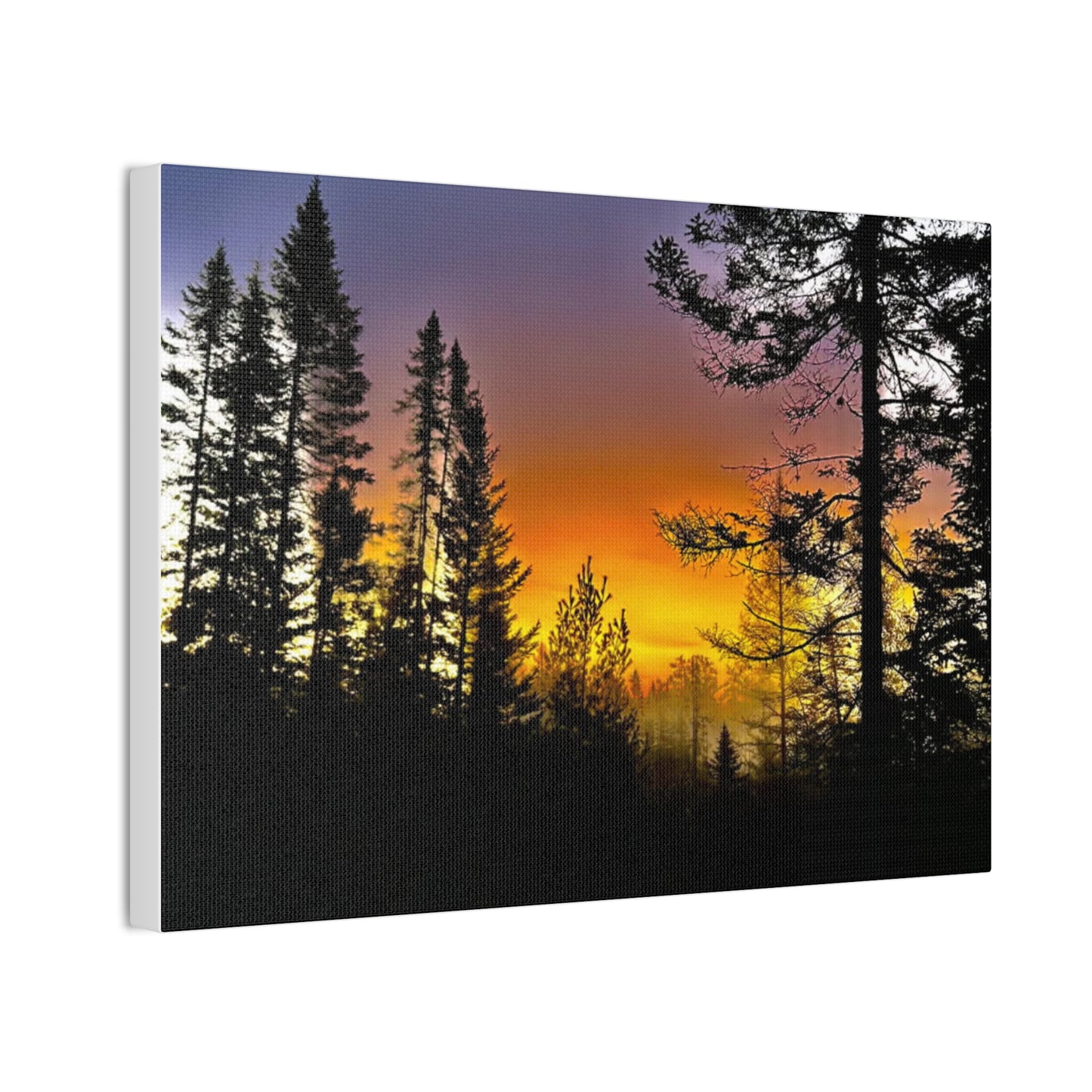 Sunset Forest Canvas Art - Stretched Wall Decor for Nature Lovers