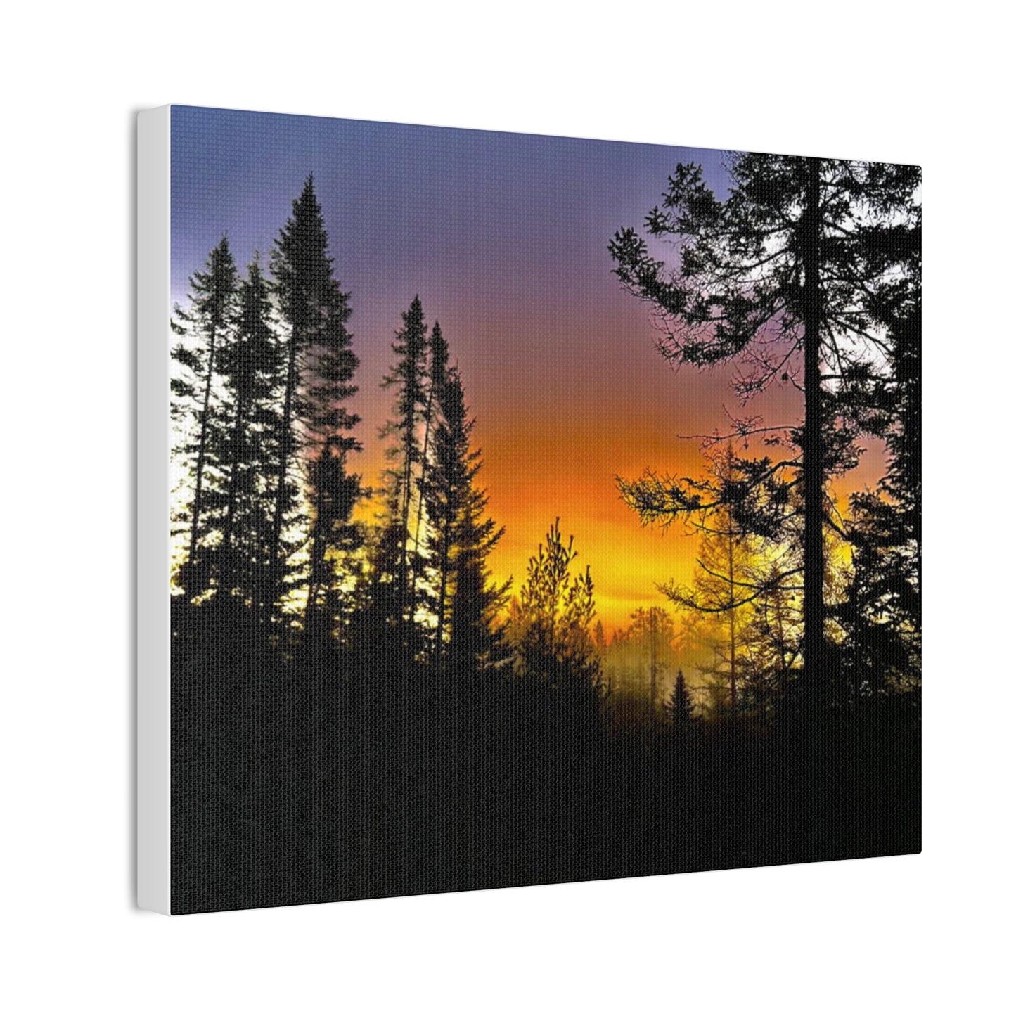 Sunset Forest Canvas Art - Stretched Wall Decor for Nature Lovers