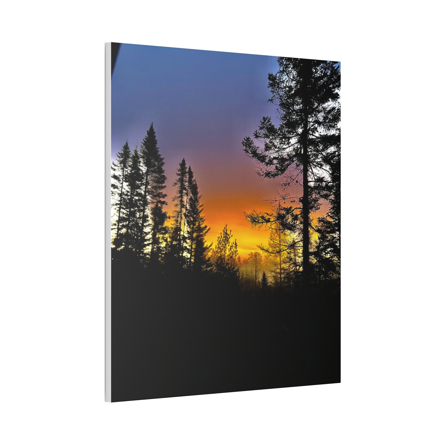Sunset Forest Canvas Art - Stretched Wall Decor for Nature Lovers