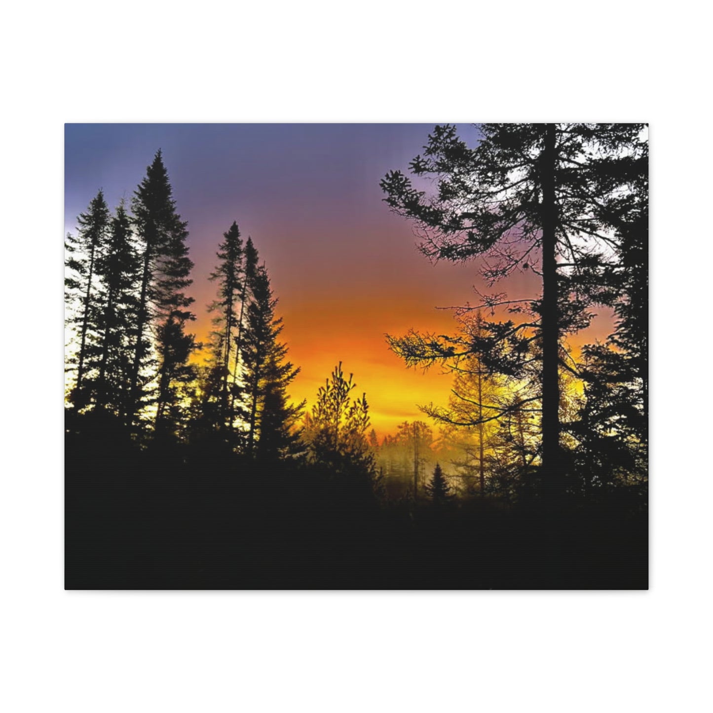 Sunset Forest Canvas Art - Stretched Wall Decor for Nature Lovers