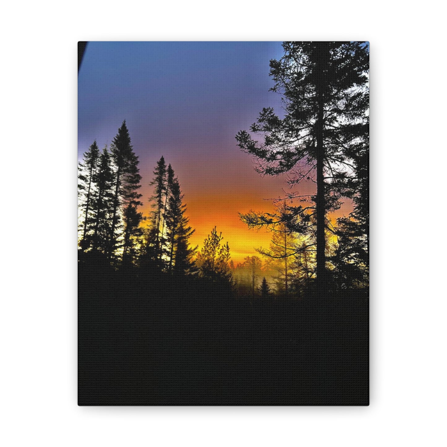 Sunset Forest Canvas Art - Stretched Wall Decor for Nature Lovers