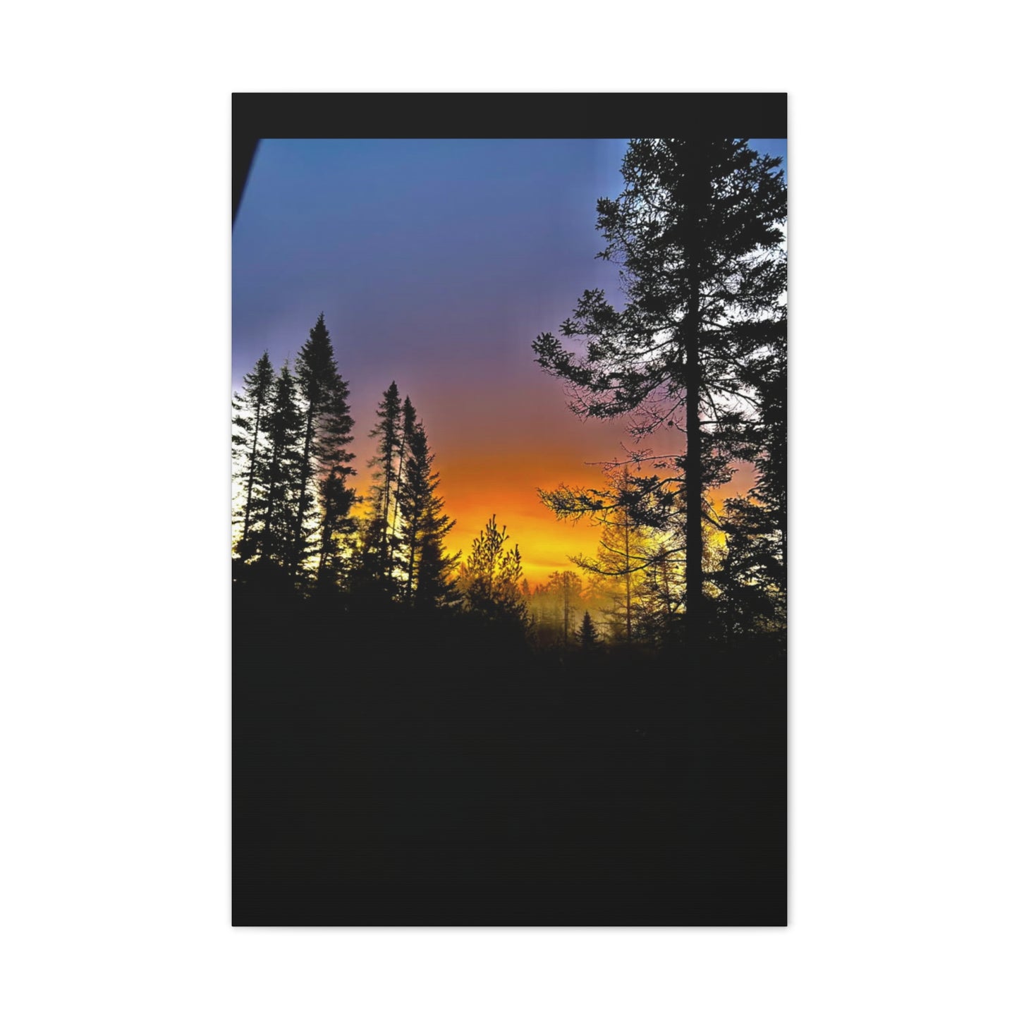 Sunset Forest Canvas Art - Stretched Wall Decor for Nature Lovers