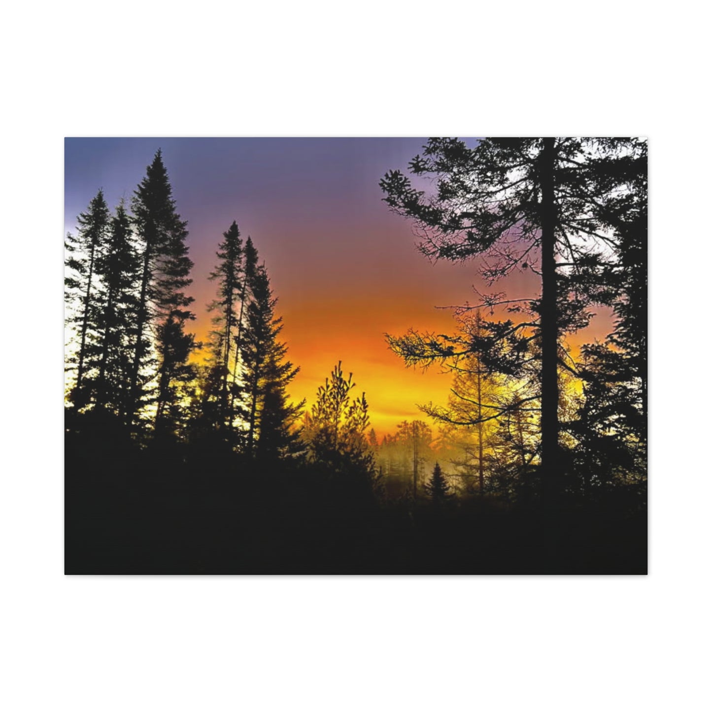 Sunset Forest Canvas Art - Stretched Wall Decor for Nature Lovers