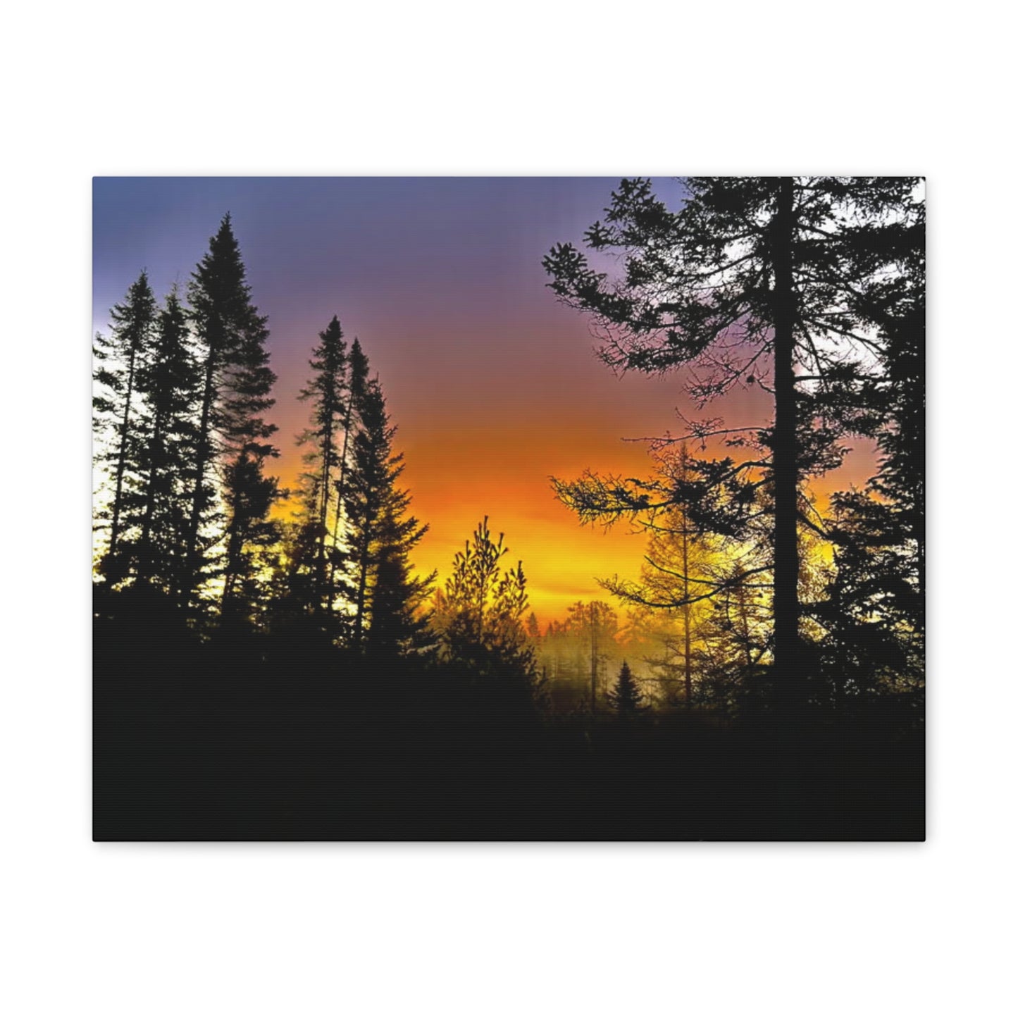 Sunset Forest Canvas Art - Stretched Wall Decor for Nature Lovers