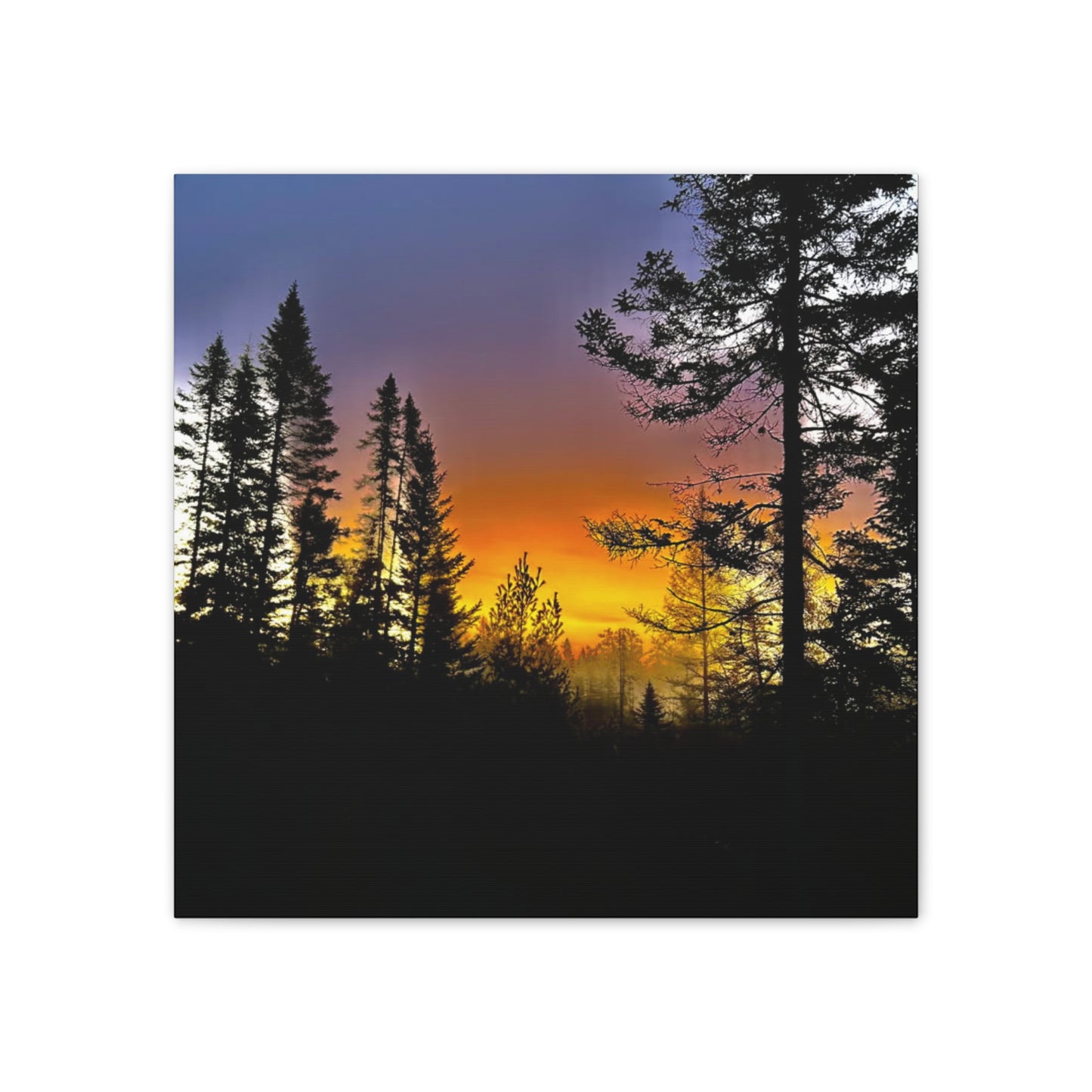 Sunset Forest Canvas Art - Stretched Wall Decor for Nature Lovers