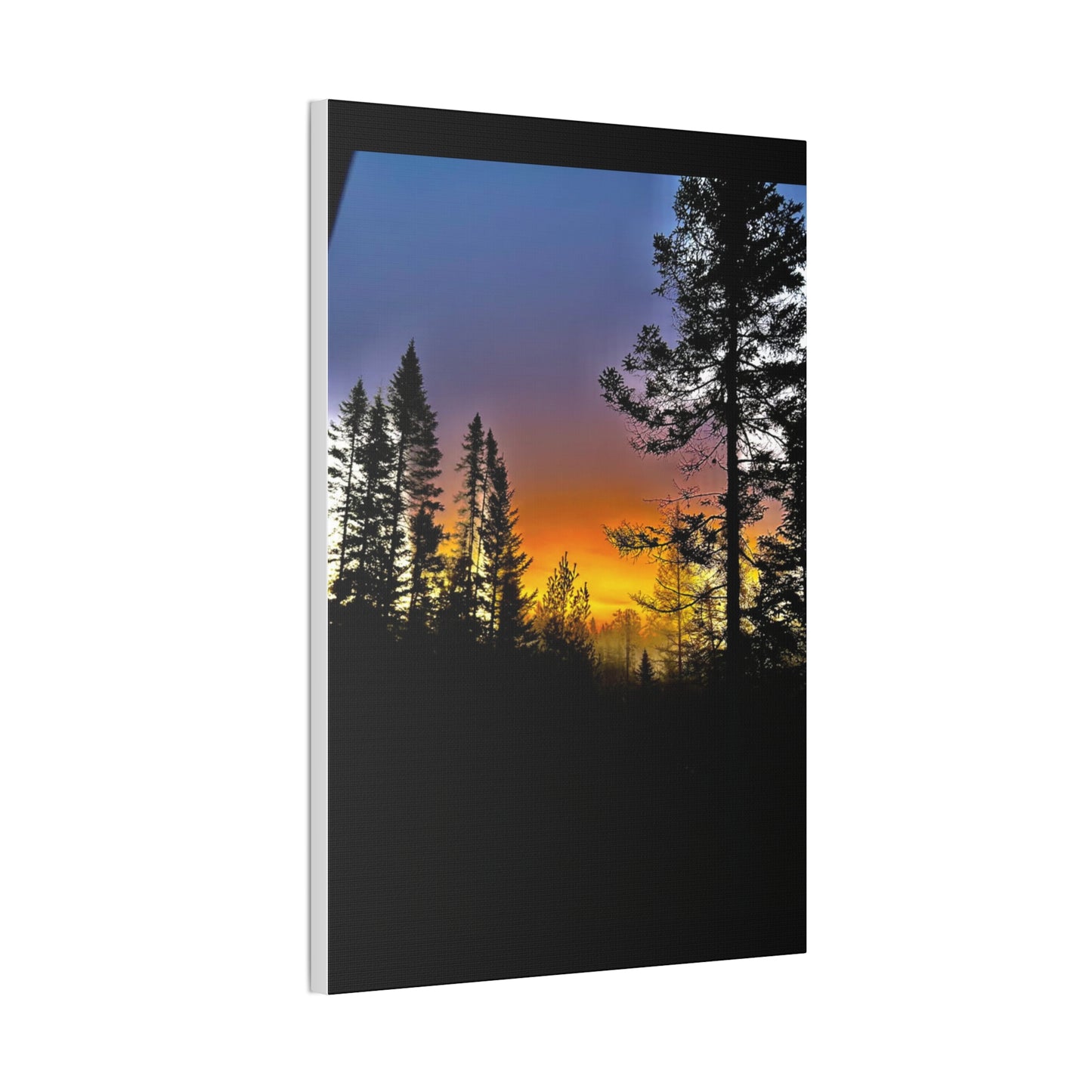 Sunset Forest Canvas Art - Stretched Wall Decor for Nature Lovers