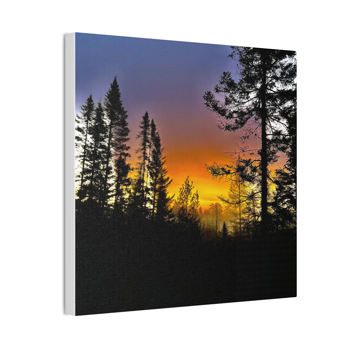 Sunset Forest Canvas Art - Stretched Wall Decor for Nature Lovers