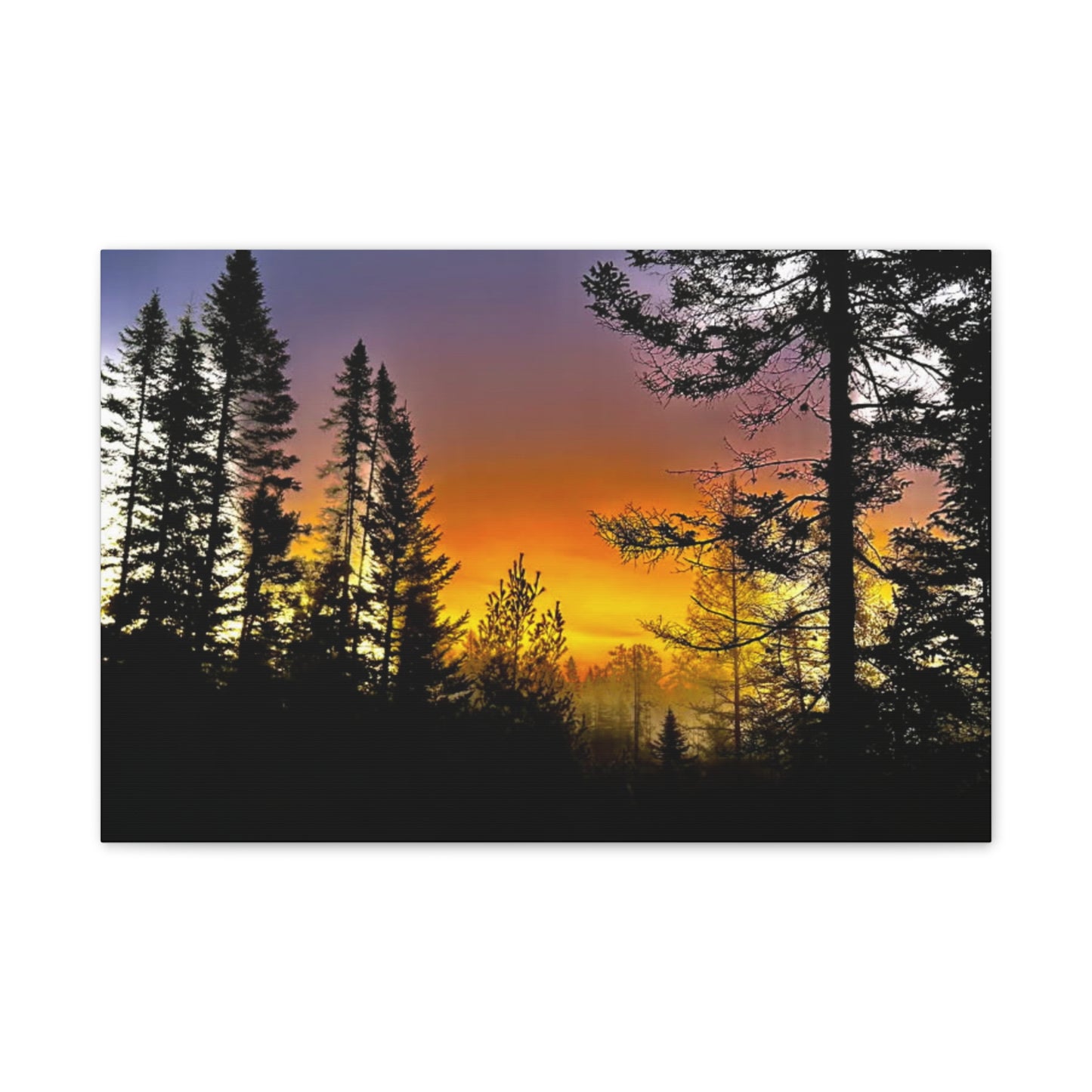 Sunset Forest Canvas Art - Stretched Wall Decor for Nature Lovers