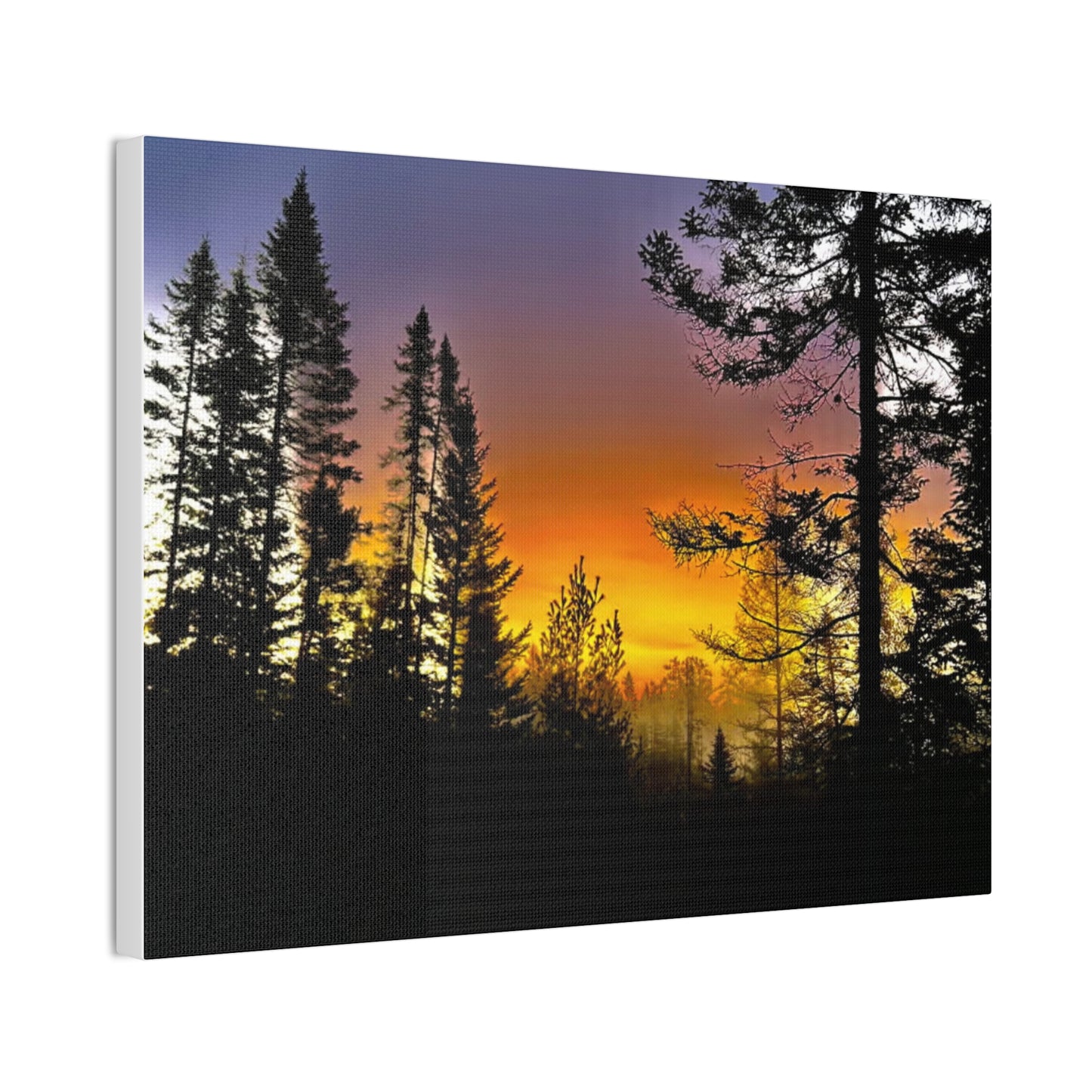 Sunset Forest Canvas Art - Stretched Wall Decor for Nature Lovers