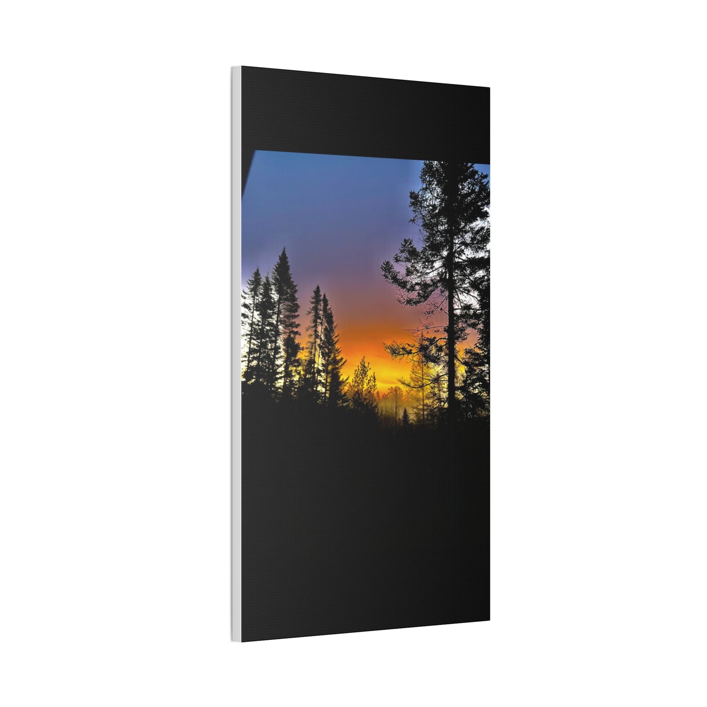 Sunset Forest Canvas Art - Stretched Wall Decor for Nature Lovers