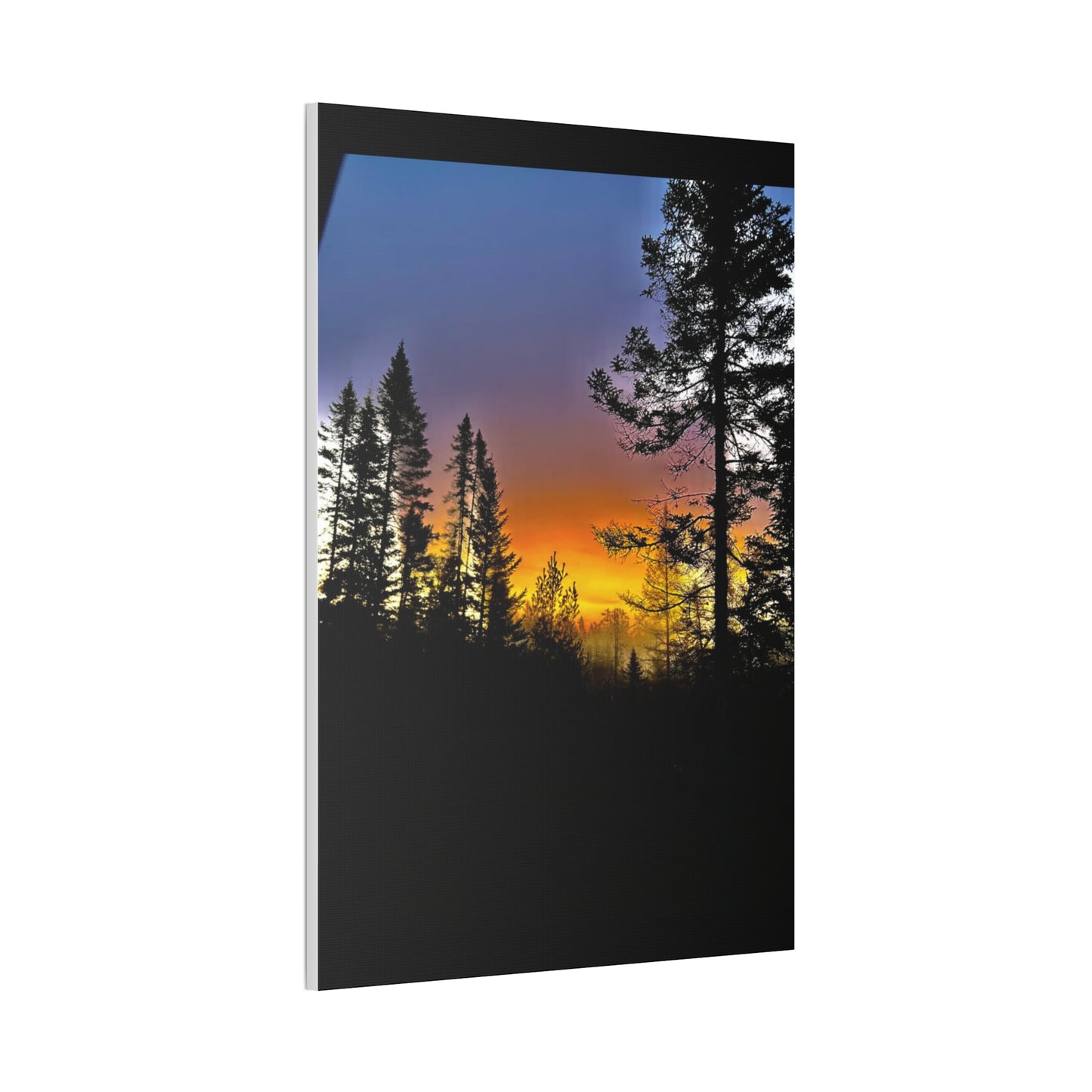 Sunset Forest Canvas Art - Stretched Wall Decor for Nature Lovers