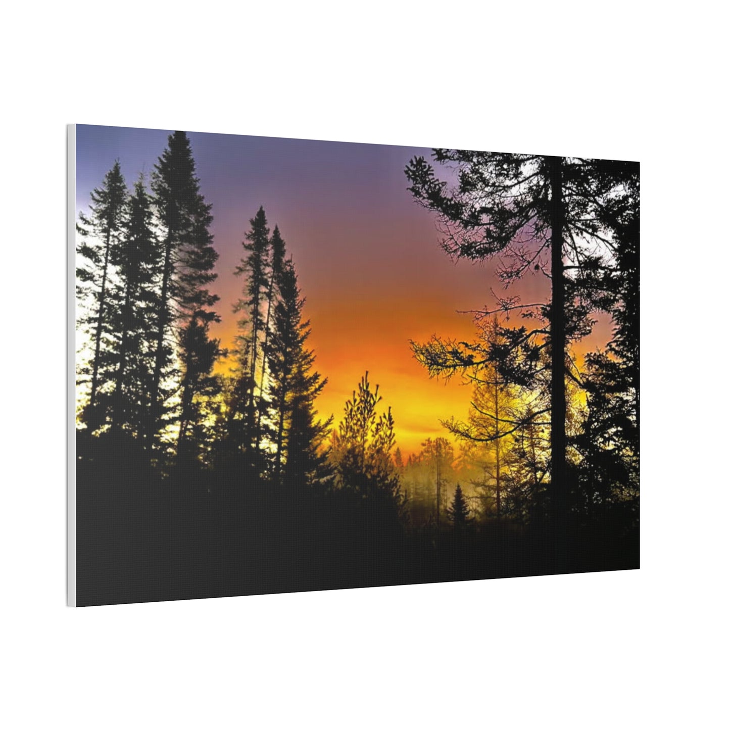 Sunset Forest Canvas Art - Stretched Wall Decor for Nature Lovers