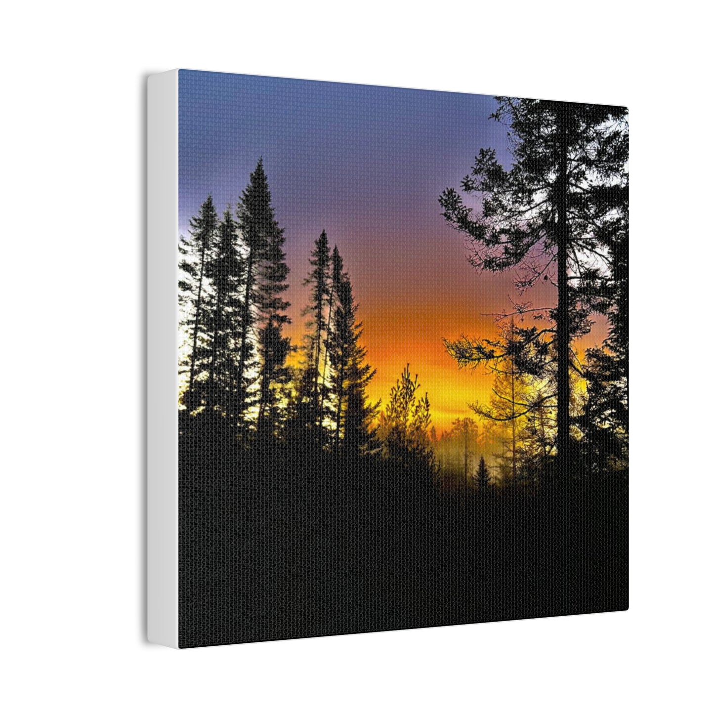 Sunset Forest Canvas Art - Stretched Wall Decor for Nature Lovers
