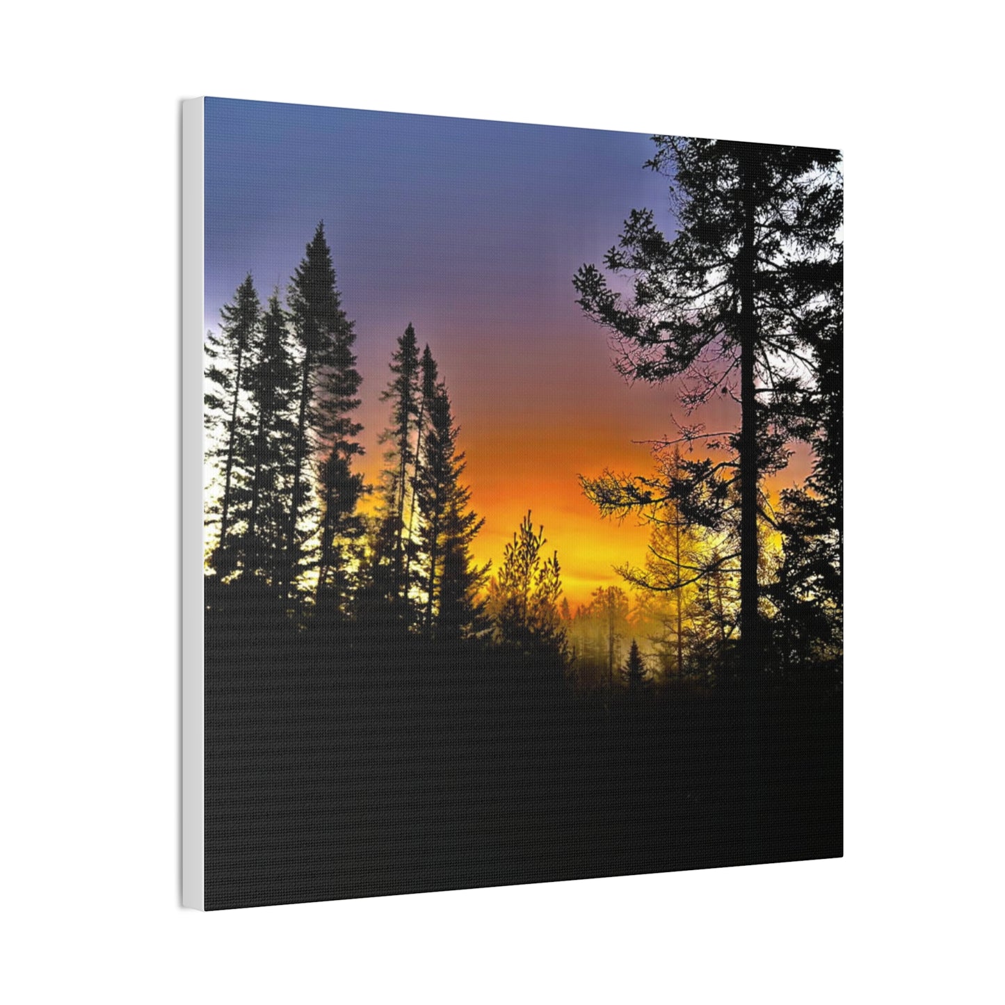 Sunset Forest Canvas Art - Stretched Wall Decor for Nature Lovers