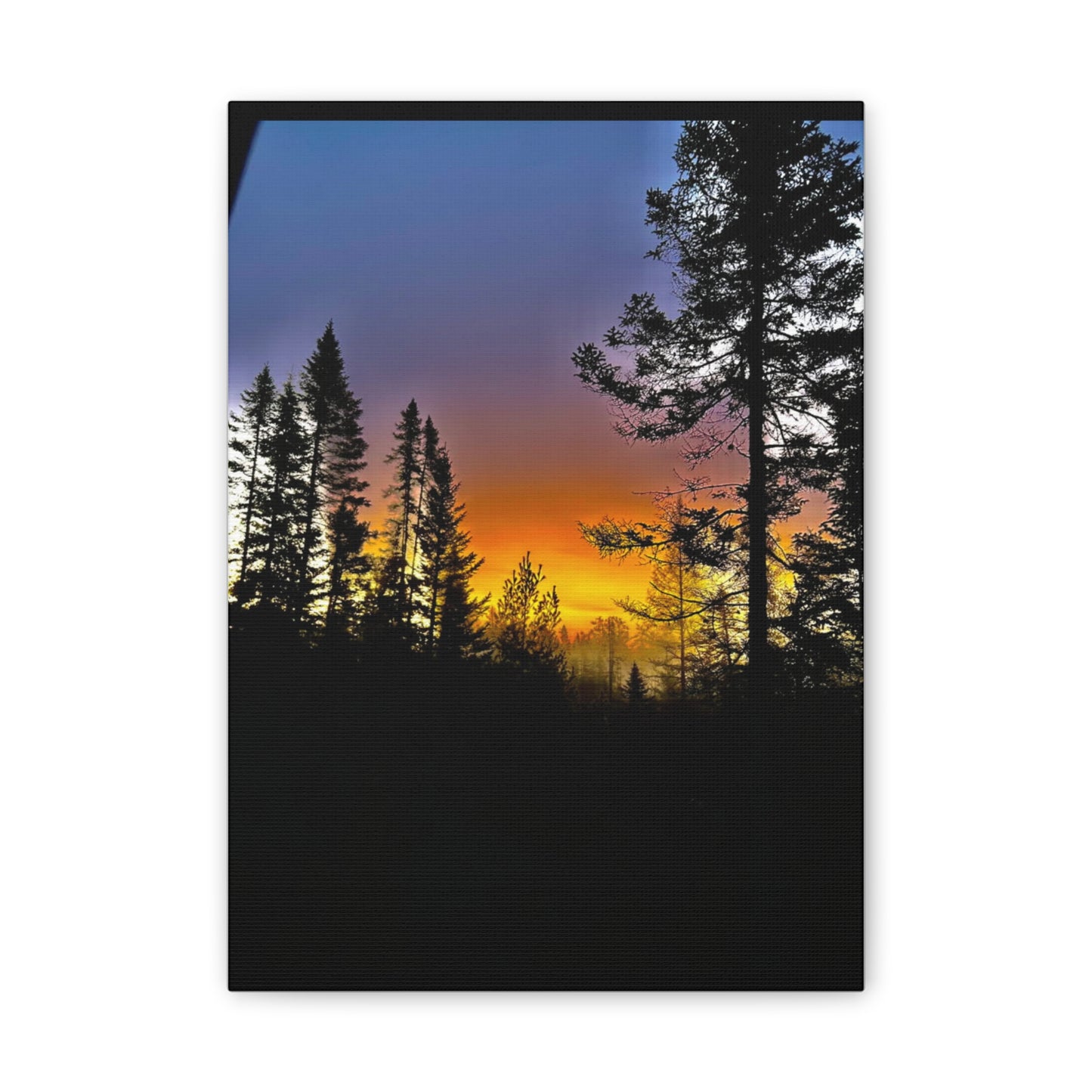Sunset Forest Canvas Art - Stretched Wall Decor for Nature Lovers