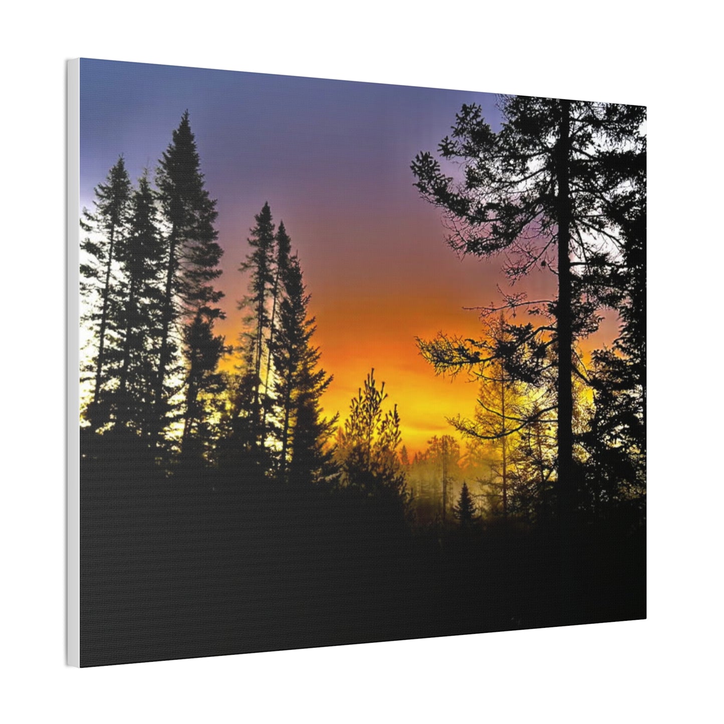 Sunset Forest Canvas Art - Stretched Wall Decor for Nature Lovers