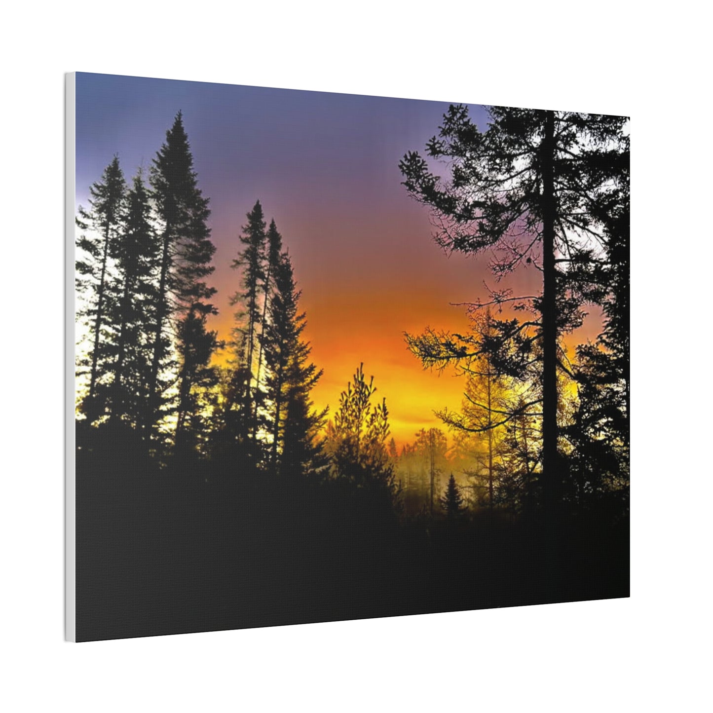 Sunset Forest Canvas Art - Stretched Wall Decor for Nature Lovers